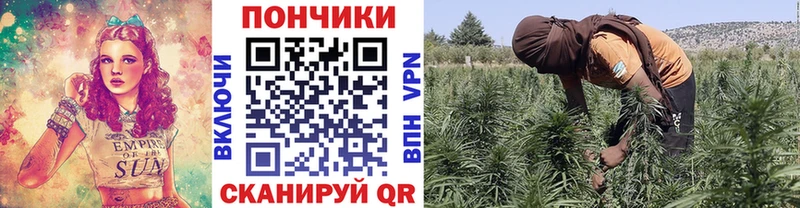 Купить закладку Чкаловск АМФ  ГЕРОИН  Конопля  ГАШ  Cocaine  СК 